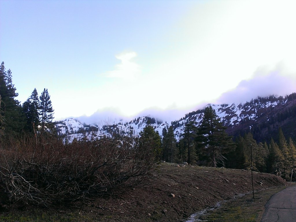 alpine-meadows-fog