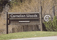 carnelian-woods